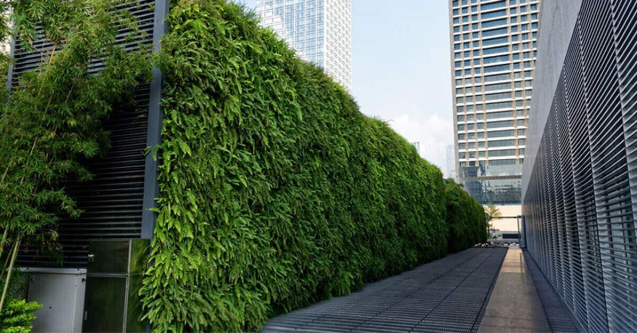 Diseño de muros verdes