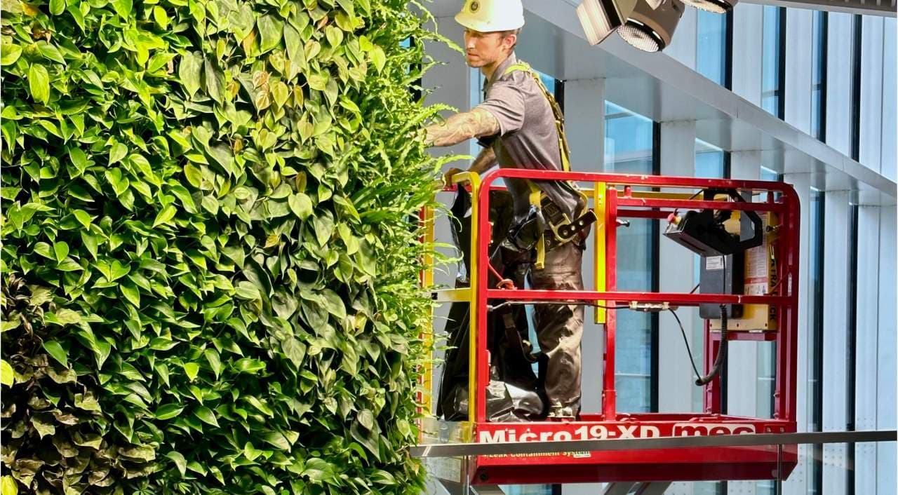 Instalación profesional